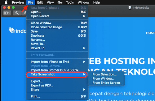 Menu File Take Screen Shot pada aplikasi Preview di Mac OS