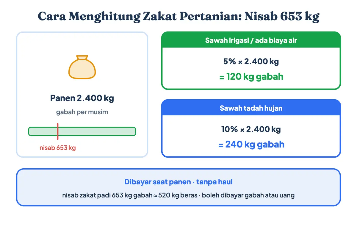 Cara menghitung zakat pertanian: nisab zakat padi 653 kg gabah per panen, kadar 5 persen untuk sawah irigasi dan 10 persen untuk tadah hujan, panen 2.400 kg zakatnya 120 kg atau 240 kg gabah