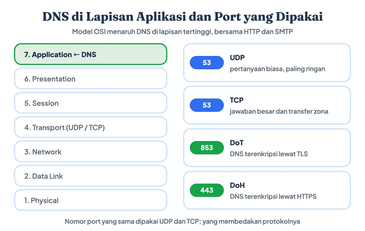 Letak DNS di lapisan aplikasi model OSI beserta DNS port 53 untuk UDP dan TCP, port 853 untuk DoT, dan port 443 untuk DoH