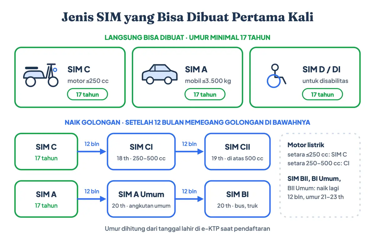 Jenis SIM dan umur minimal membuat SIM: SIM C (SIM sepeda motor), SIM A (SIM untuk mobil pribadi), dan SIM D untuk penyandang disabilitas bisa dibuat langsung pada umur 17 tahun. SIM C1, SIM CII, SIM A Umum untuk angkutan umum, SIM B1, SIM B1 umum, SIM B2 umum, dan SIM BII umum baru bisa diajukan setelah 12 bulan memegang golongan di bawahnya