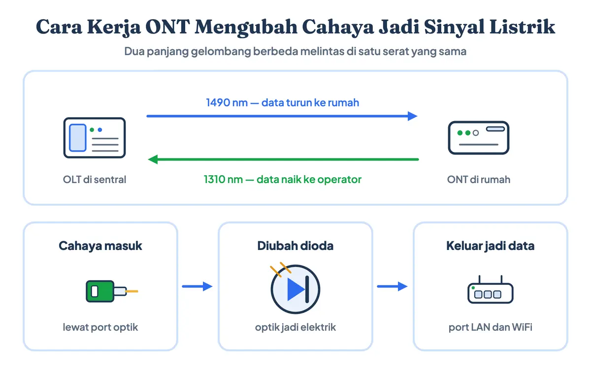 Apa itu ONT: diagram cara kerjanya mengubah cahaya menjadi sinyal listrik, dengan jalur 1490 nm dari OLT ke rumah dan 1310 nm arah sebaliknya dalam satu serat