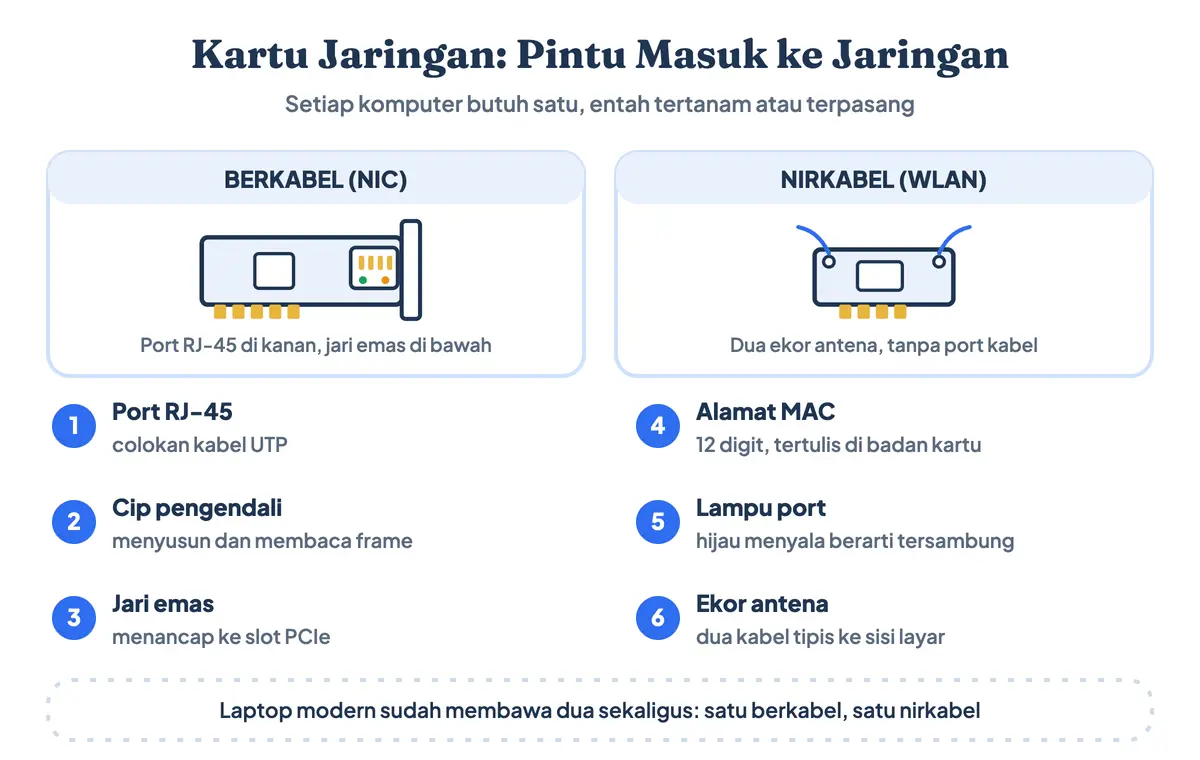 Contoh perangkat jaringan komputer berukuran paling kecil: anatomi kartu jaringan NIC berkabel dengan port RJ-45, cip pengendali, dan jari emas, di samping kartu nirkabel WLAN berekor antena