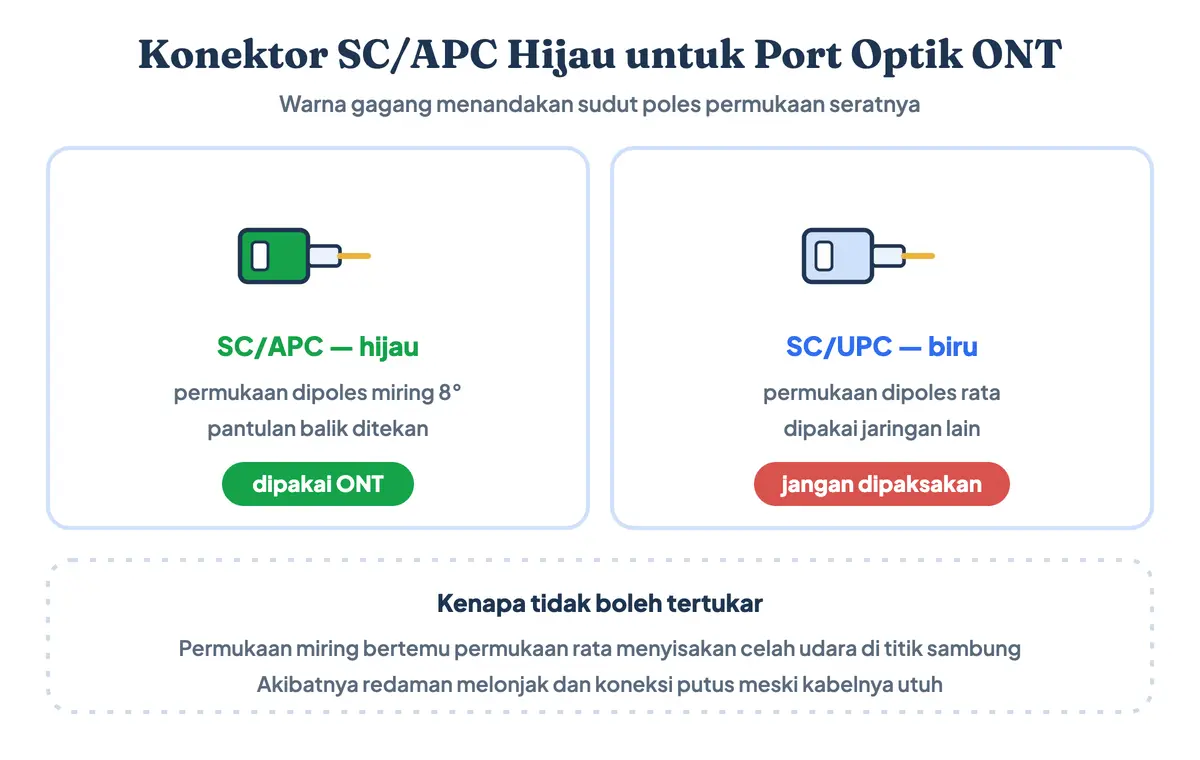 Konektor SC/APC hijau yang digunakan untuk port optik ONT, disandingkan dengan konektor SC/UPC biru beserta sudut poles permukaan seratnya