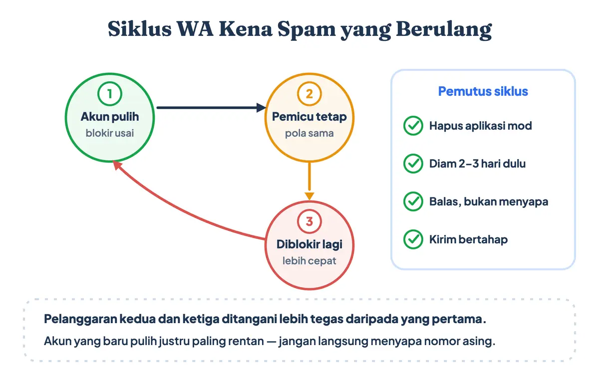 Siklus WA kena spam berulang: akun pulih, aplikasi mod belum dihapus dan pola kirim tidak berubah, lalu diblokir lagi dalam hitungan hari